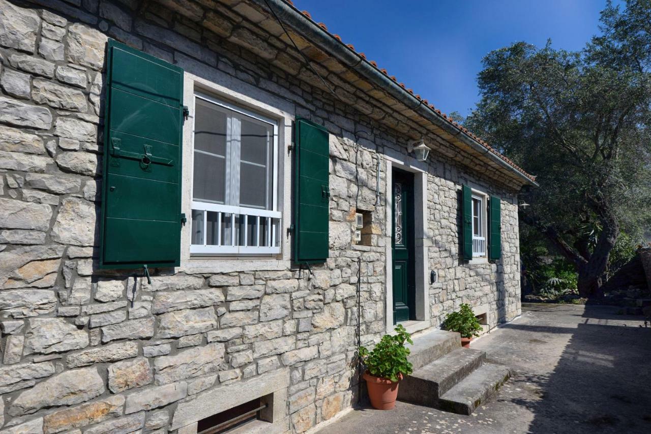 Mikroulis Residence Mastoratika Luaran gambar